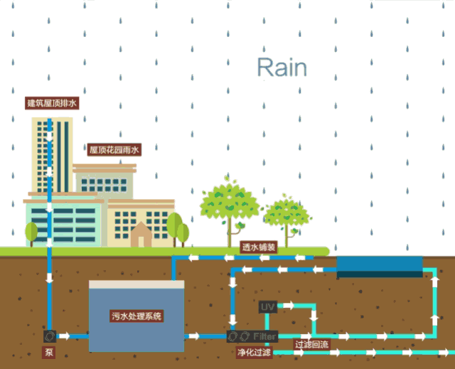 雨水花园:海绵细胞的落地